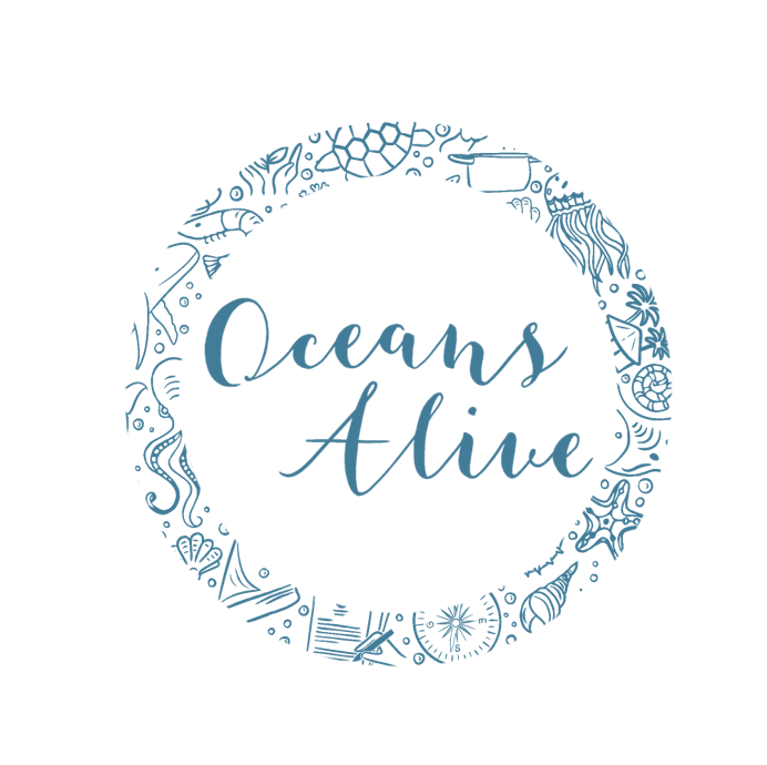 New+OA+Logo